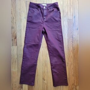 Zara Burgundy High Rise Skinny Pants